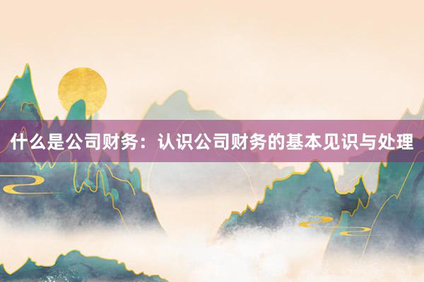 什么是公司财务：认识公司财务的基本见识与处理