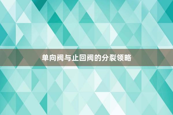 单向阀与止回阀的分裂领略