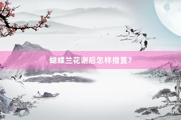 蝴蝶兰花谢后怎样措置？