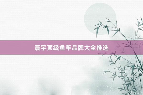寰宇顶级鱼竿品牌大全推选