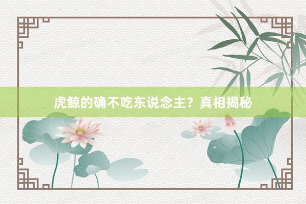 虎鲸的确不吃东说念主？真相揭秘